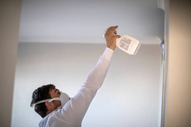 Best Commercial Mold Remediation in Sayreville, NJ